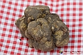 VBS_6965 - Fiera dei Santi - 12.ma Fiera Nazionale del Tartufo